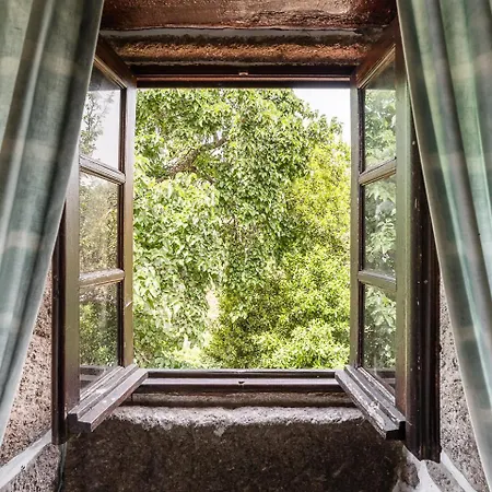Casa Museu Da Geada - Rural Отель