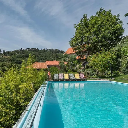 Casa Museu Da Geada - Rural Appartement Cinfães