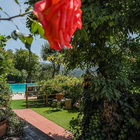 Casa Museu Da Geada - Rural