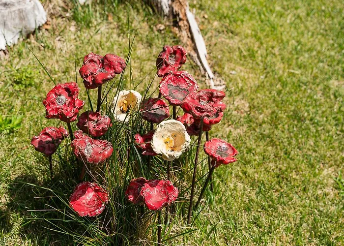 Casa Museu Da Geada - Rural *